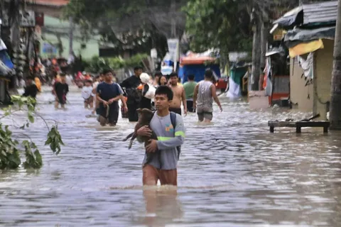 No Pets Left Behind 🐾❤️