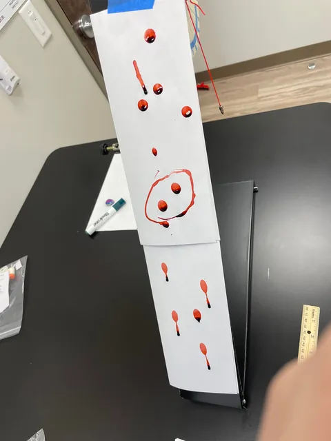 Blood spatter analysis day in my forensics class 😋