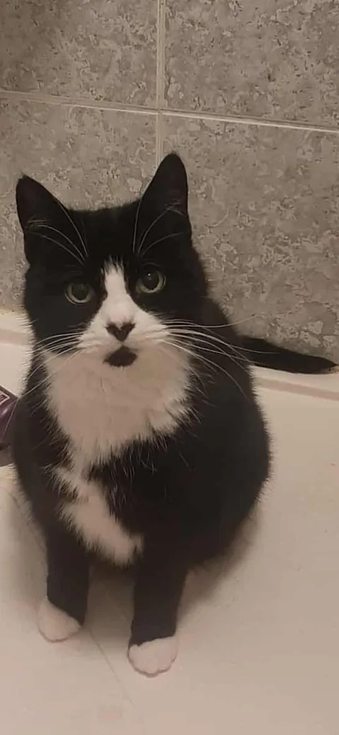 My 13 year old little girl with her heart shaped nose.