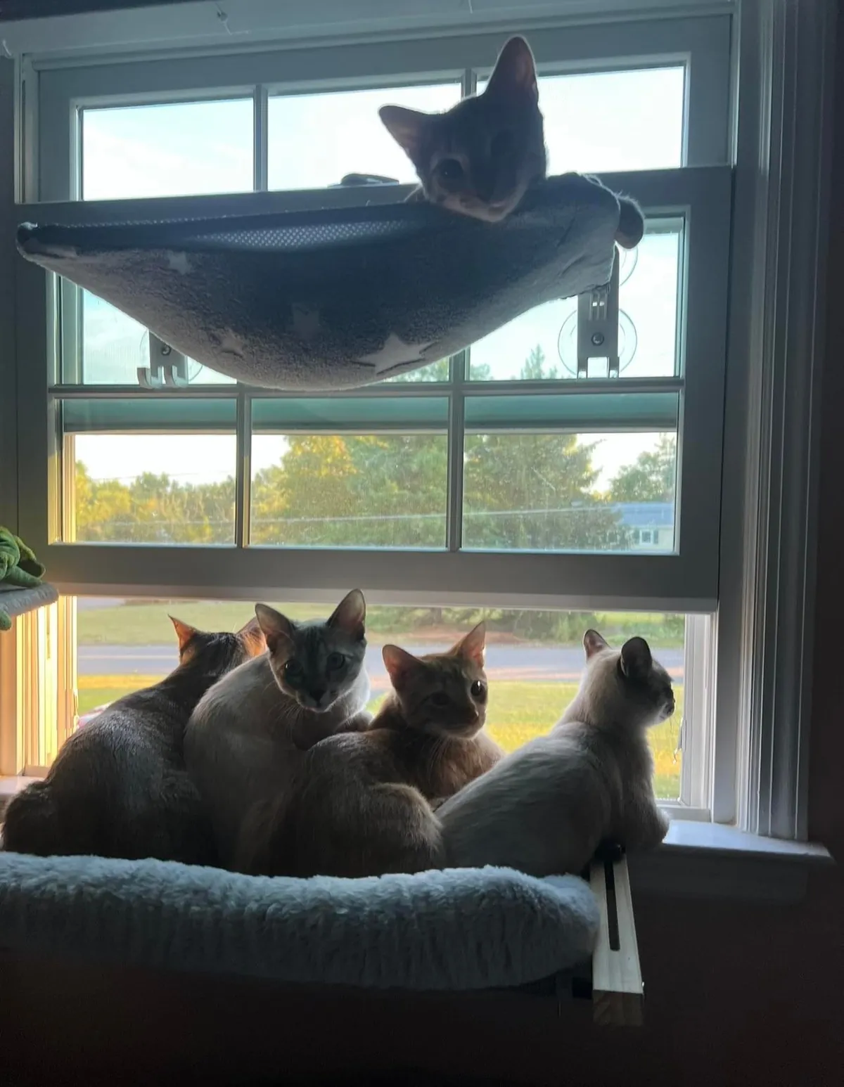 Kept the family together