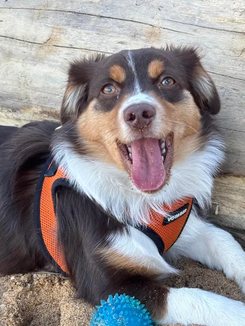 say she’s a good girl 🫵🏻