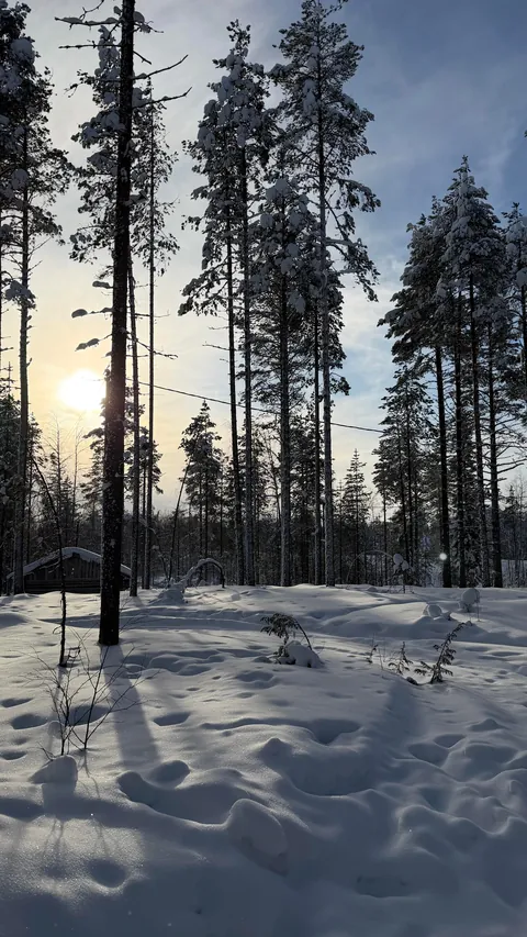 Finland, a few days in Lapland.
