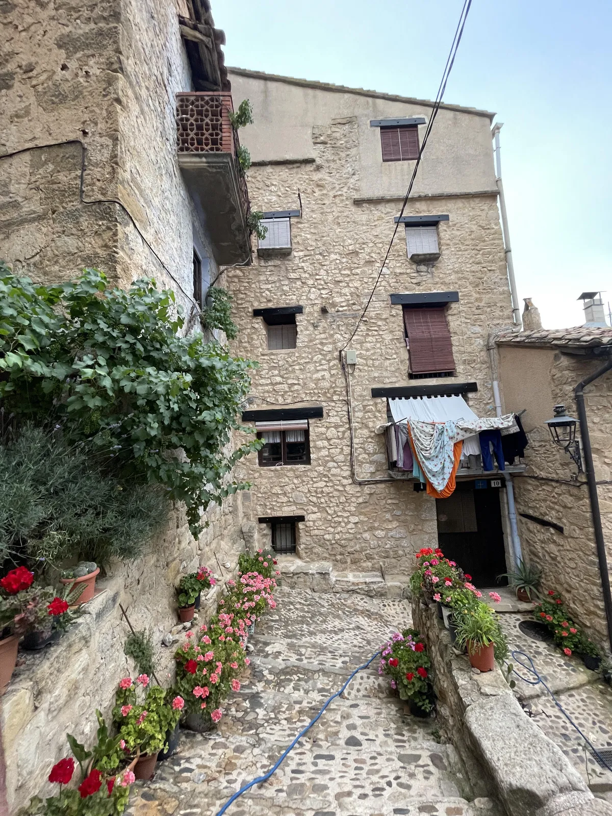 my daily walk to go to the bakery to buy bread 