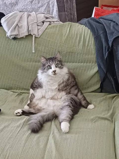 It's always so strange to see him sitting