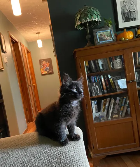 How it started...how it's going