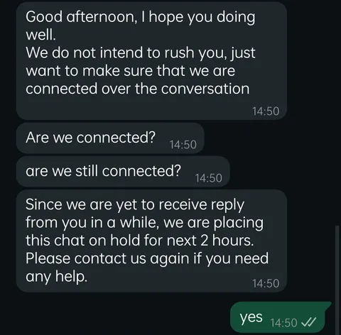 Support doesn't give even a minute to reply.