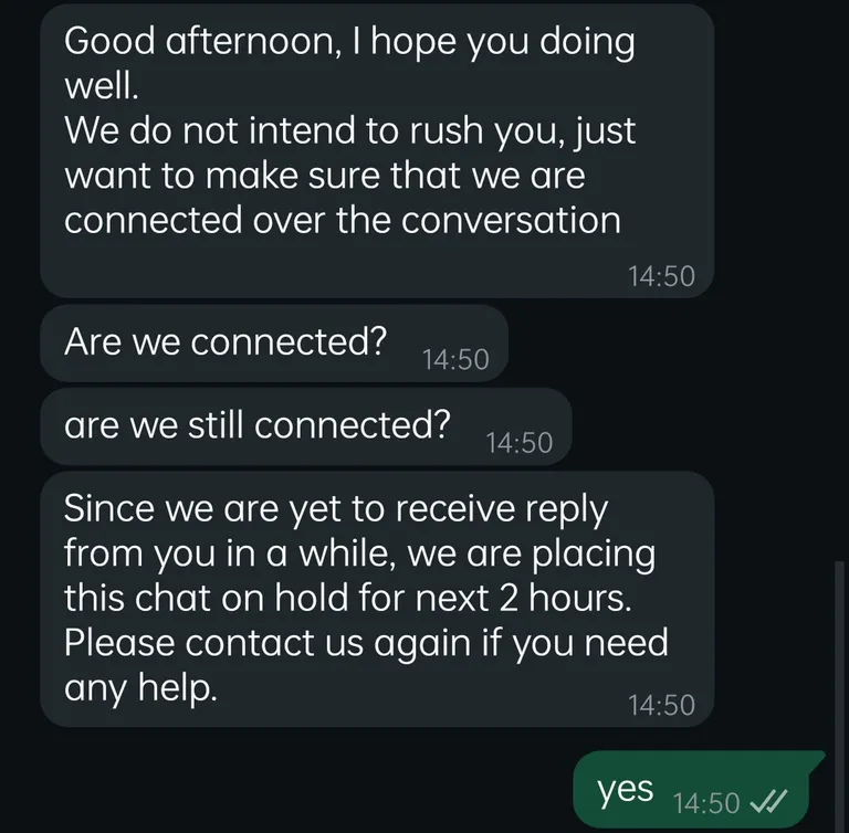 Support doesn't give even a minute to reply.