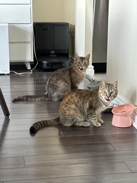 same same but different