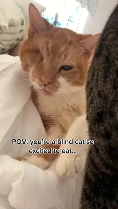 So special how they communicate with each other