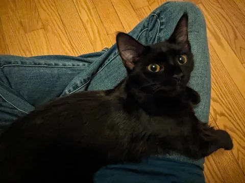 I'm overdue to share my baby, Nessa