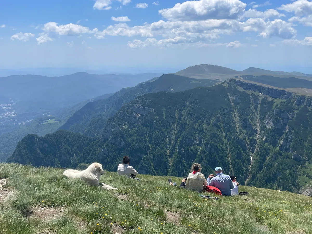 1 Week in Romania 🇷🇴