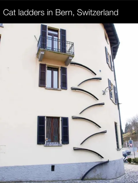In Bern, Switzerland, cat ladders emerged as a unique urban phenomenon, with residents crafting elaborate ramps and staircases for their feline companions. Popularized in the 21st century, these structures allow cats to roam freely. reflecting the city's pet-friendly culture.