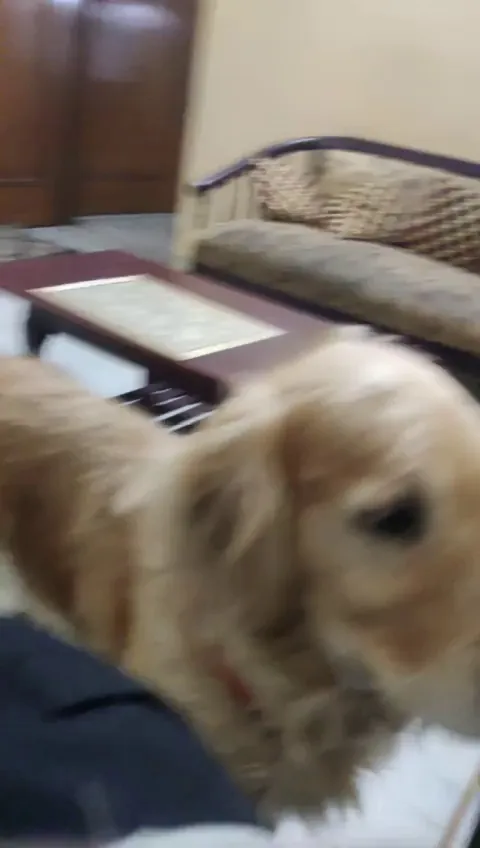 When she finds out im eating something she looks at me like