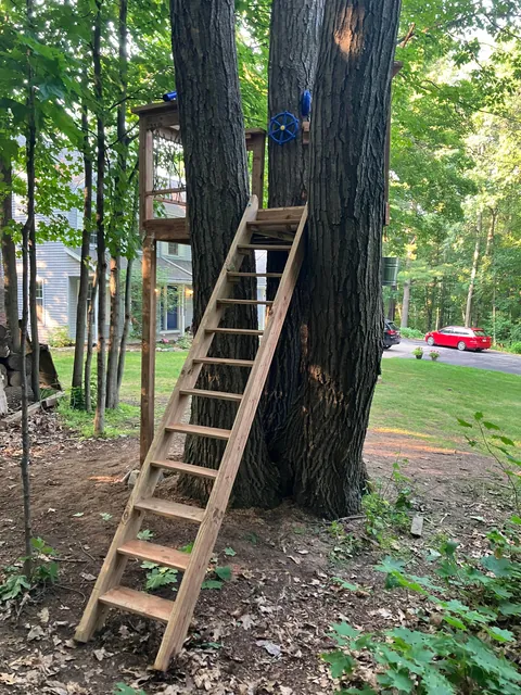 Tree fort for my kids.  The last 4 pics are what the previous tree fort looked like when we bought the property in May