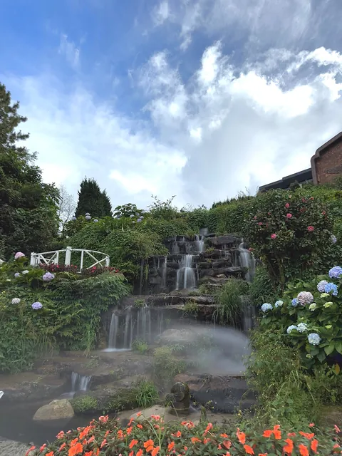 5 Days in Chiang Mai reflection. Slower Pace + Crisp Air + omg Khao Soi (curry noodle soup)