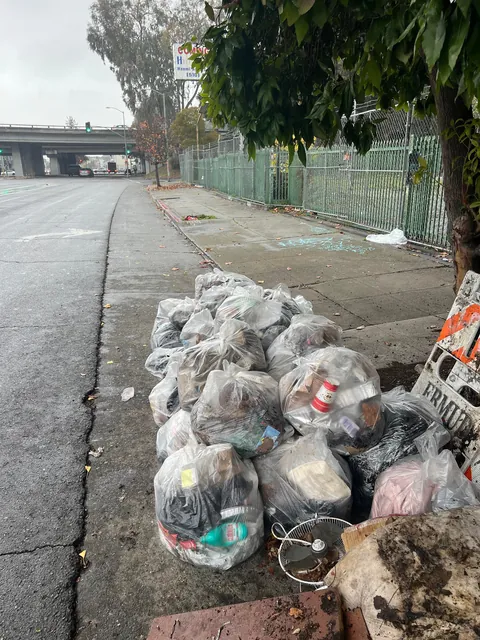 I clean up illegal dumping in Oakland for fun. This pile had more than 40 syringes.