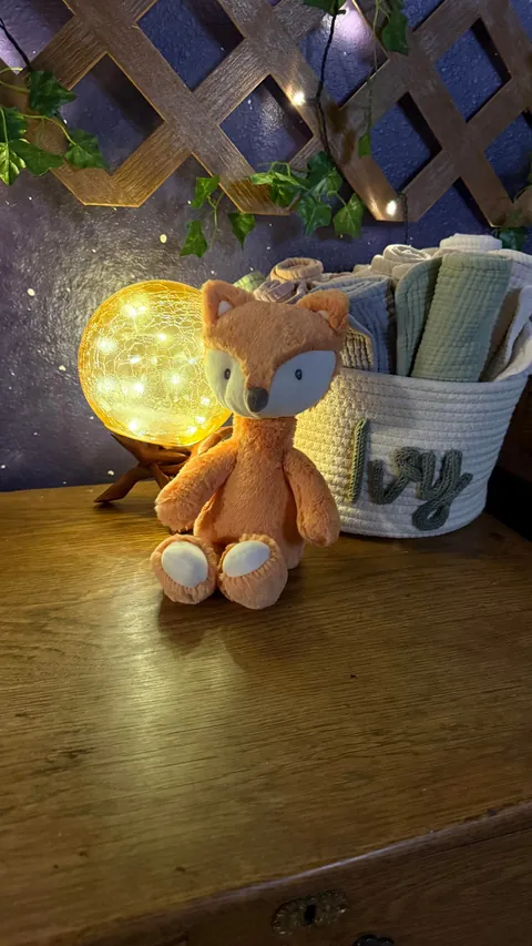 My daughter’s enchanted forest-themed nursery