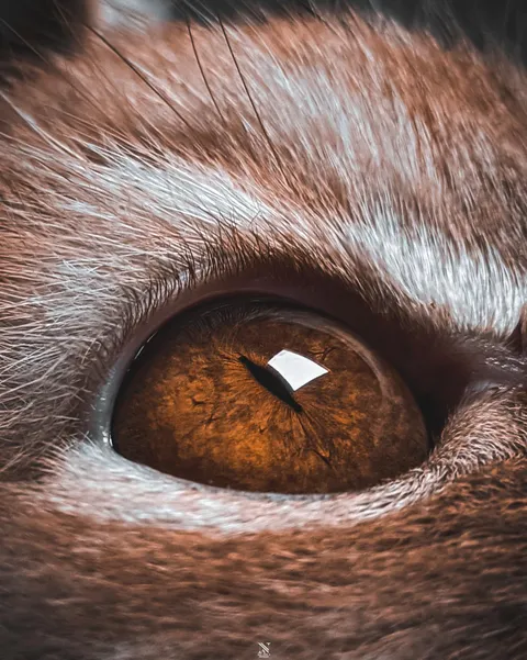 One of the best photos I took this year