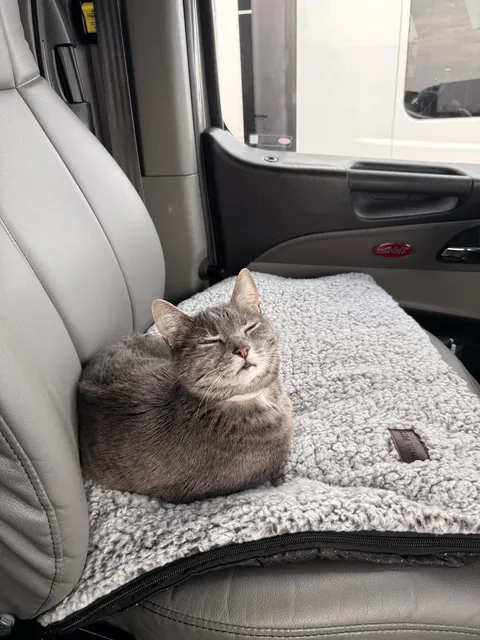 Lola is a truck driver 🚛!! She is 11 years old. 🙂