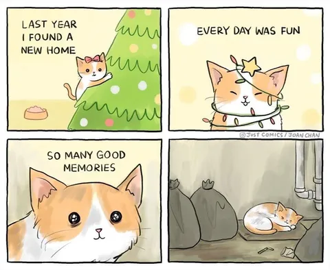 Please be 100% committed if you’re giving/getting a kitten this Christmas.