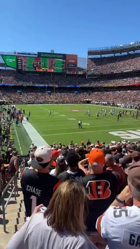 Green Sex Toy Spotted on the Field During Bengals/Browns Game