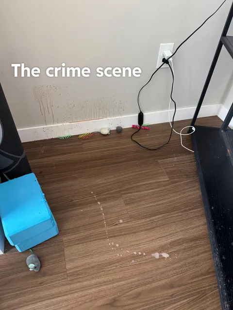 Criminal investigation ➡️