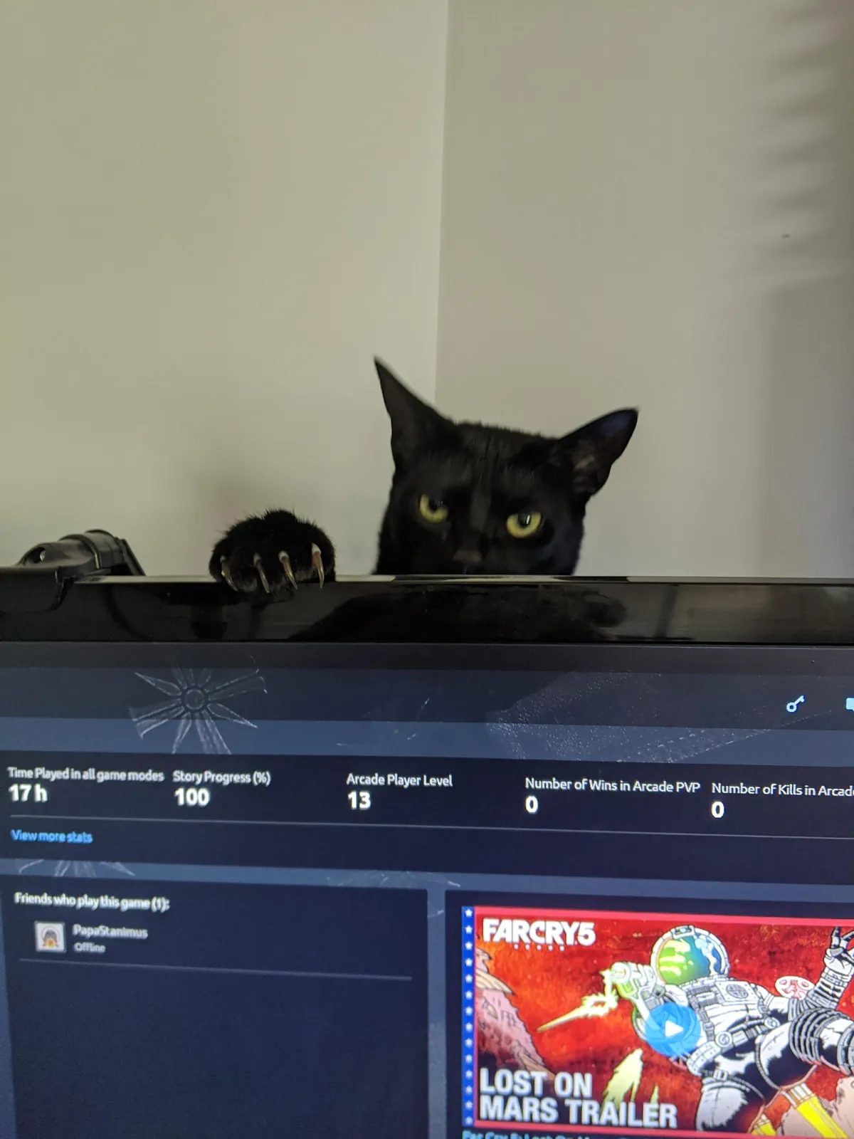 Had to say goodbye to Luna today. Thought I would share some photos from her 6 years on the earth