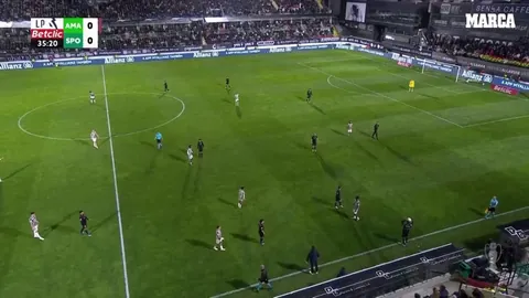[Primeira Liga] A cat interrupts the match between Estrela Amadora and Sporting.