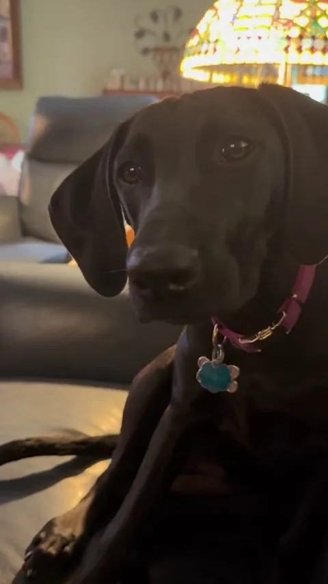 She had her first apple today 🙂