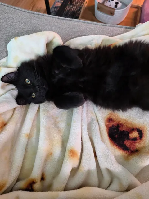 Wanted to show off my son