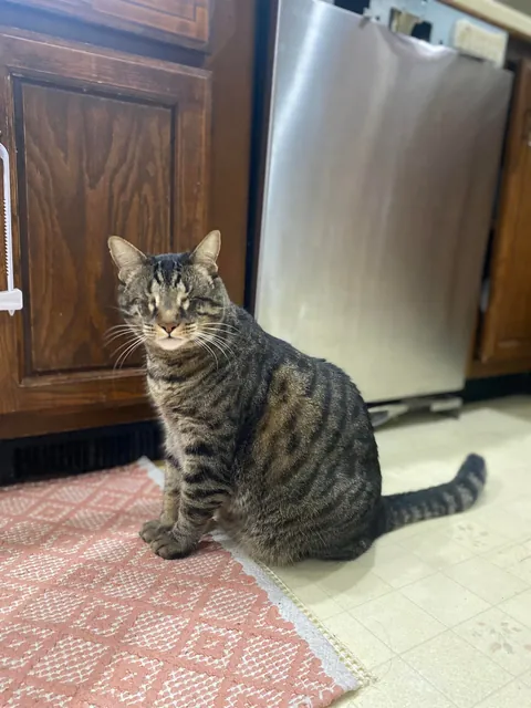 Said goodbye to my eyeless boy