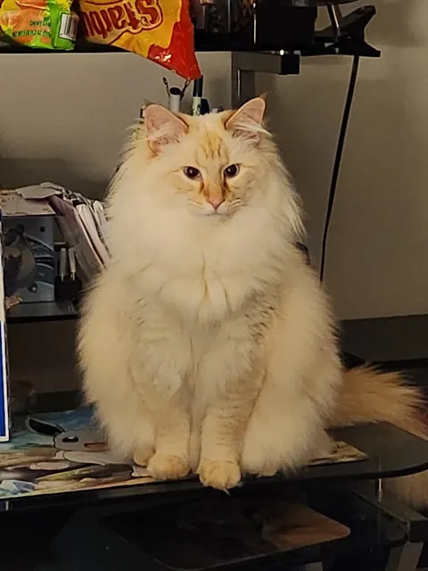 Our boy's growth over the past couple years