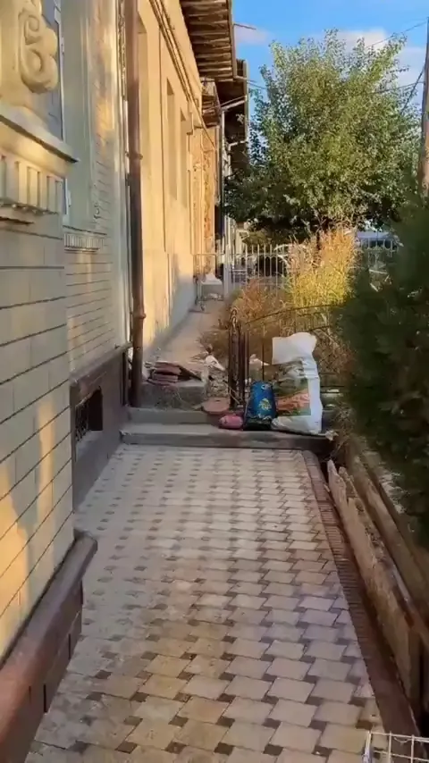 A Cat in its natural state