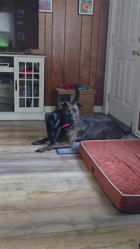 Midnight got filmed loving on his girlfriend 😍