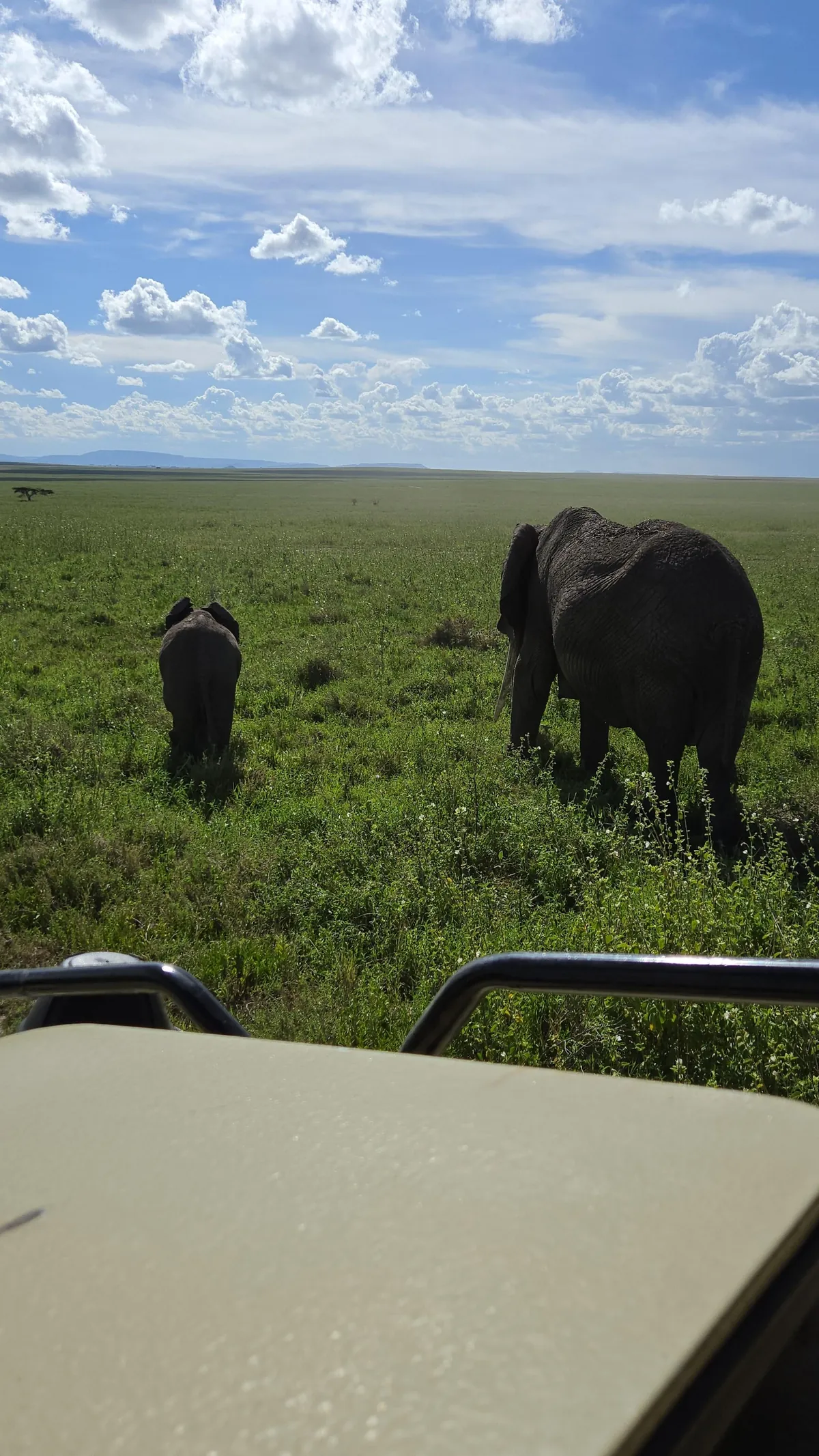 The Beauty of Tanzania