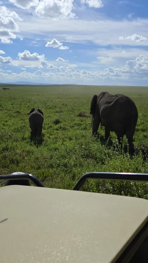 The Beauty of Tanzania