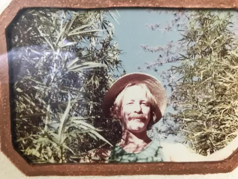 My uncle's oregano farm in the 1970s