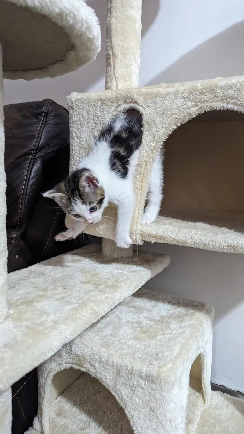 Unfortunately he's no longer this small