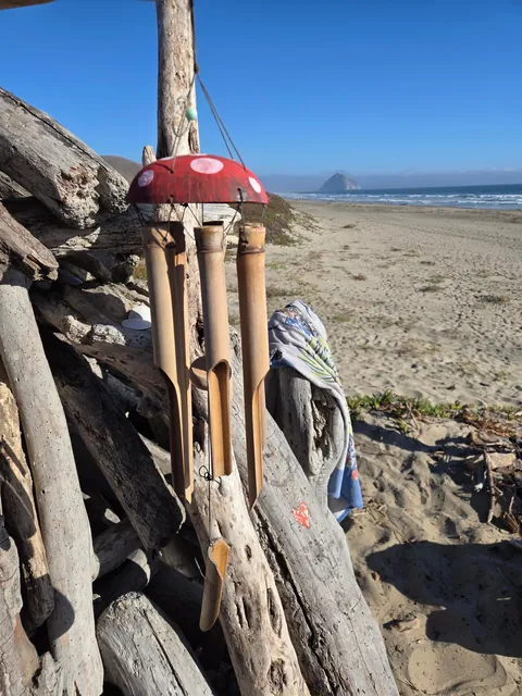 The Crow's Nest, a drift wood fort built by me on a beach in Central California