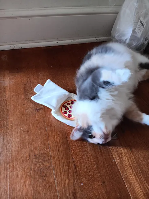 Delivered a pizza and came home with the best tip ever