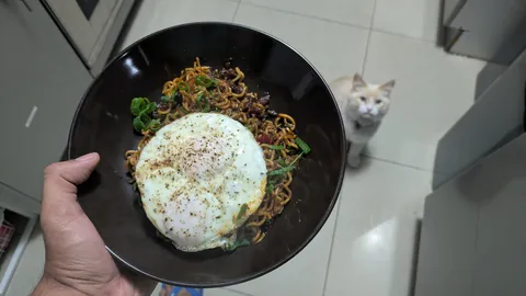 [Homemade] Indo Mee noodles with minced beef stir fry. Ignore Leo on the side