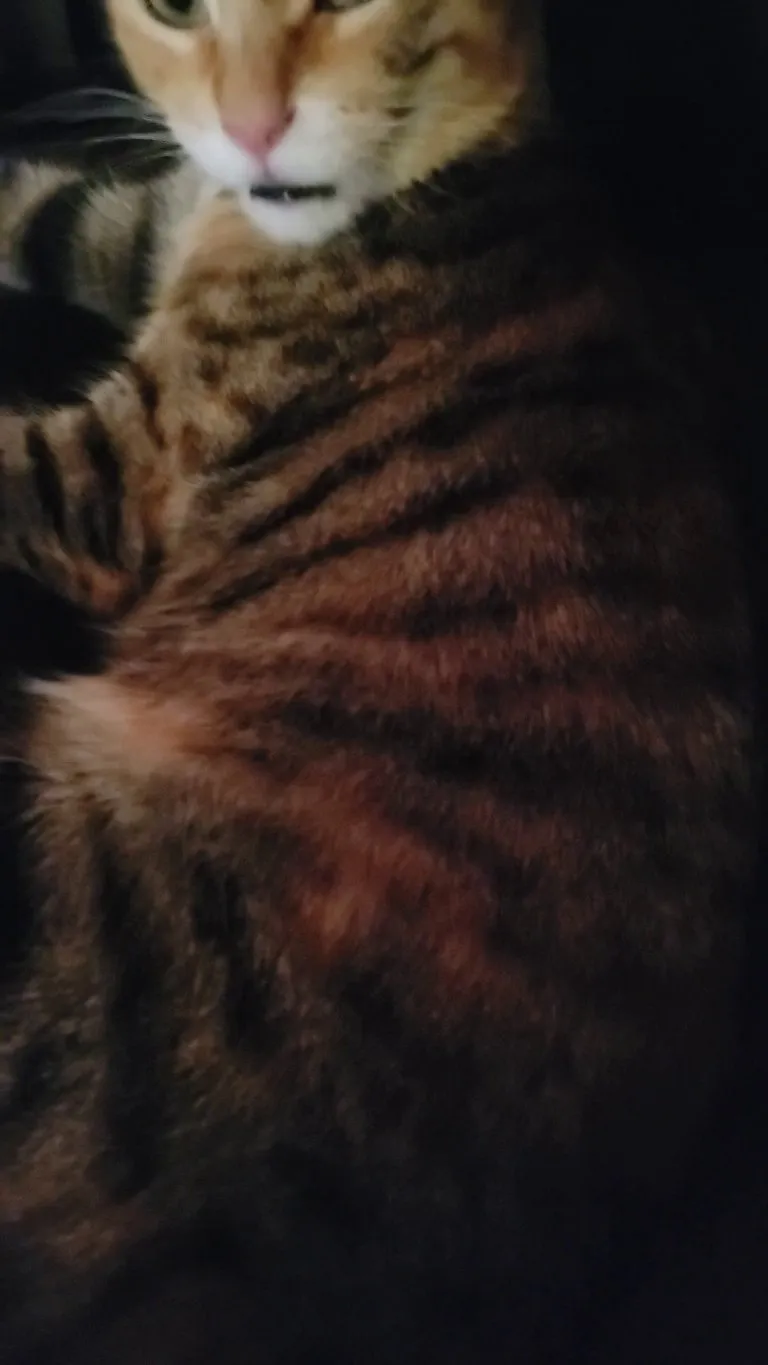 Pixel is such a chatter box