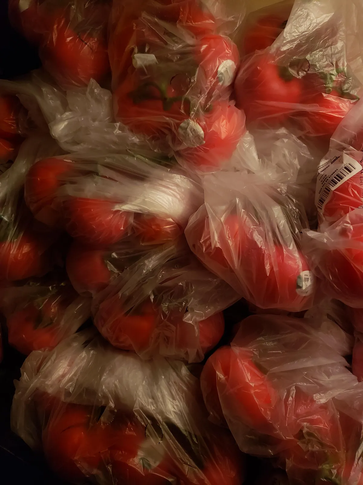 I ordered 12 tomatoes. I received 12 bunches of 6 tomatoes. I have 72 tomatoes and I leave the country for 2 weeks tomorrow...