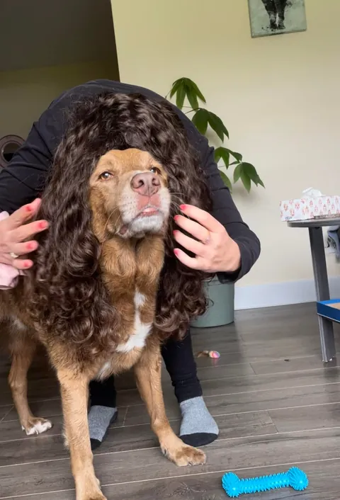 My Bassi bear tuned 10! My best boy, the best “big” brother and my best friend:)