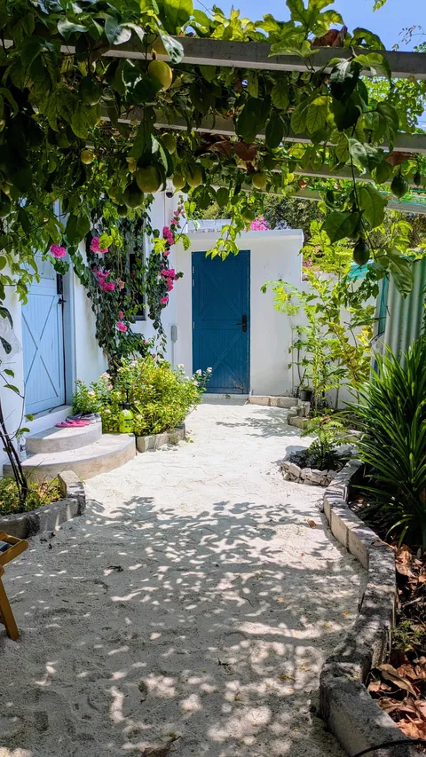 Mowing grass? Never heard of it we use white sand