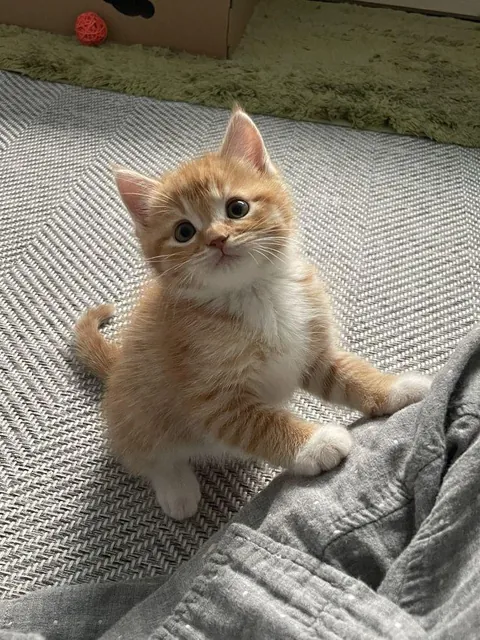 i want some snack please..