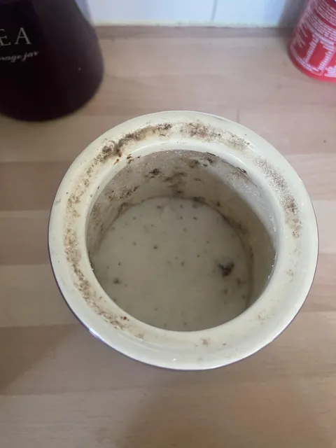 Parents will not stop double dipping the coffee spoon into the sugar