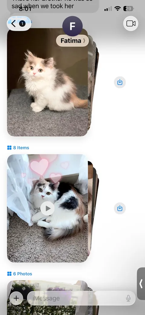 Update: I have the cat my student rehomed 3 years ago and thought had died.