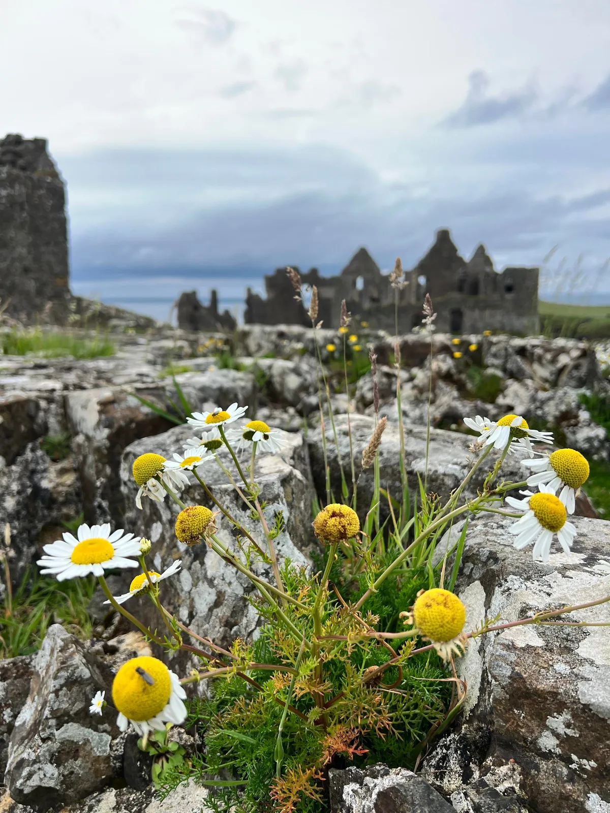 Ireland &amp; Northen Ireland one week road trip.