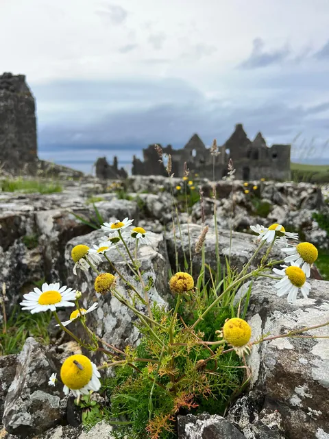 Ireland &amp; Northen Ireland one week road trip.